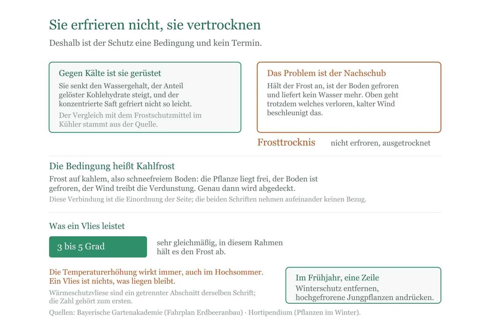 Schema: Frosttrocknis bei Erdbeeren, also Vertrocknen statt Erfrieren, und was das Vlies daran ändert.