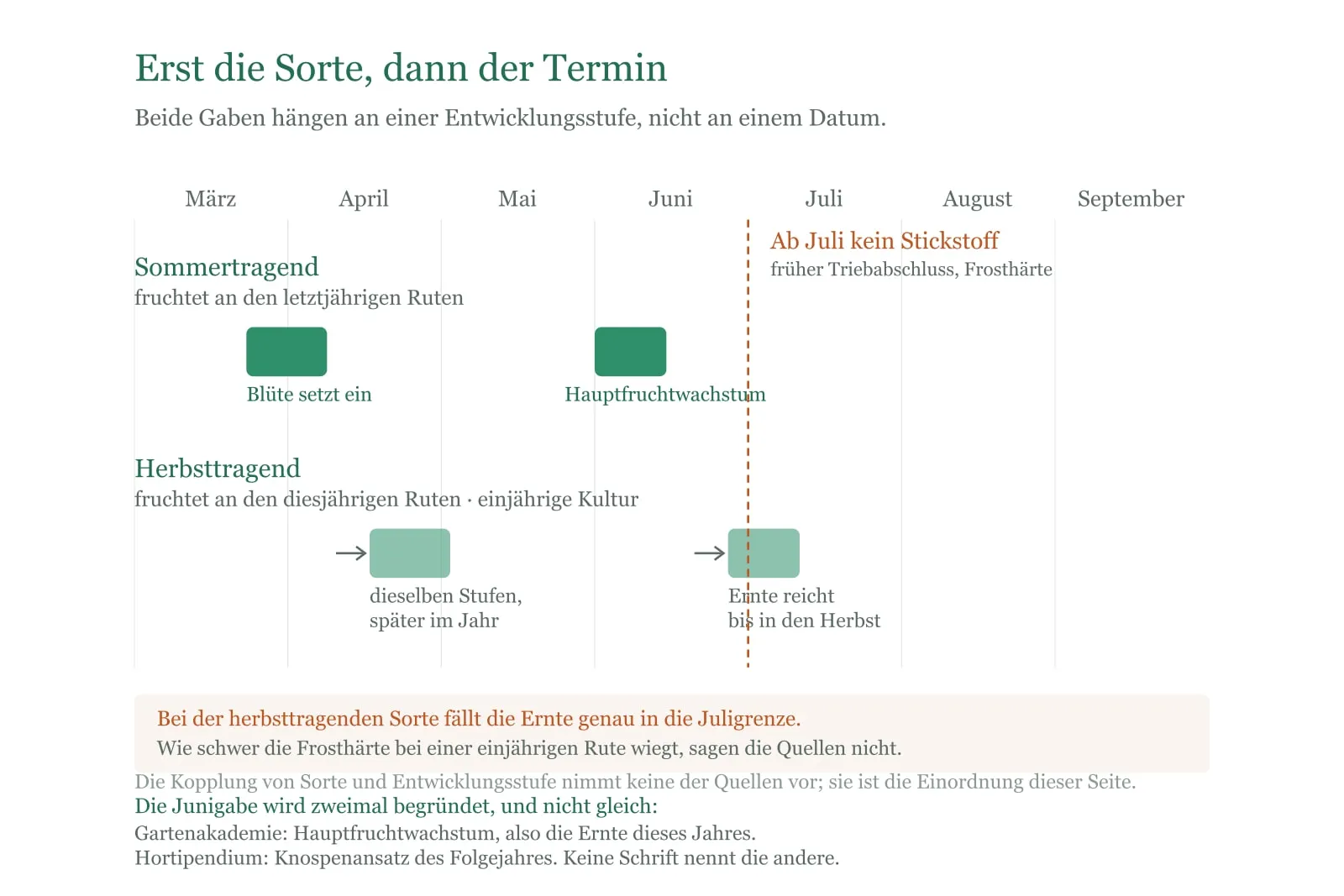 Schema: Bei Himbeeren steht die Sorte vor dem Termin; sommer- und herbsttragende Ruten verschieben die Stufen gegeneinander.