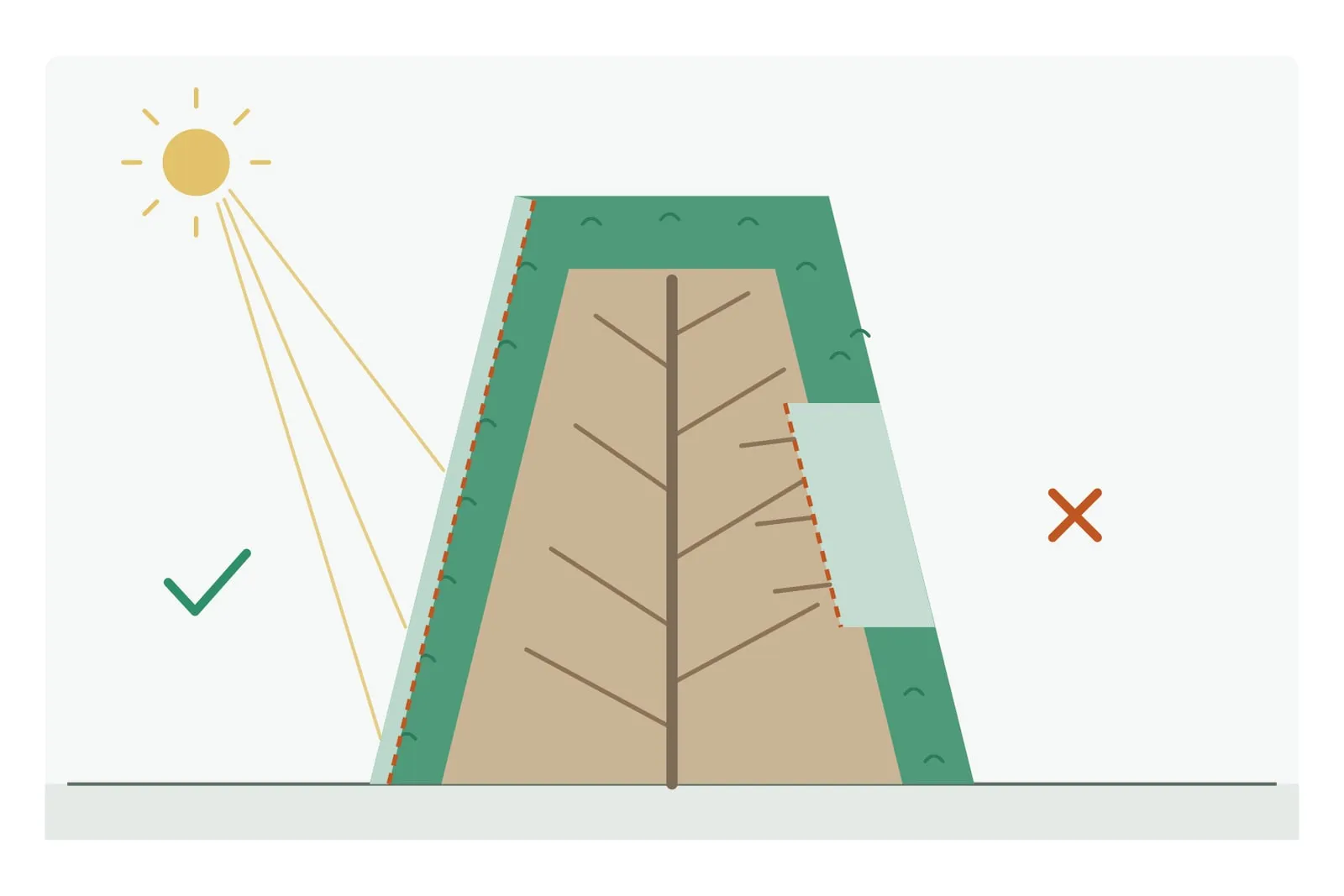 Schema: Querschnitt einer Koniferenhecke, unten breiter als oben, außen grünes Laub und innen braunes, kahles Holz; das Licht erreicht alle Teile der Hecke. Links wird nur im Grünen geschnitten, und eine grüne Oberfläche bleibt; rechts reicht der Schnitt ins braune Holz, und dort bleibt eine kahle Stelle.