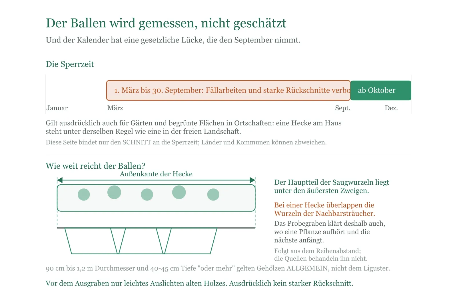 Schema: Der Wurzelballen des Ligusters wird gemessen statt geschätzt, daneben die gesetzliche Sperrzeit vom 1. März bis 30. September.